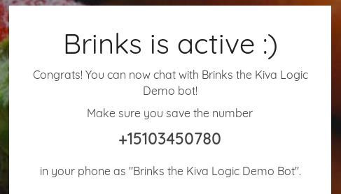talk to brinks and receive messages