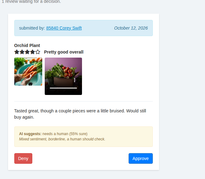 The admin review approval queue with AI suggestion and media